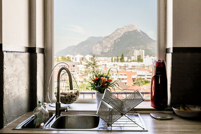 Potted plants on glass window