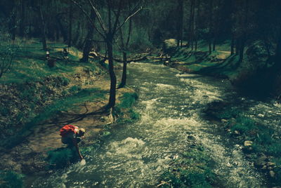 High angle view of man walking in forest