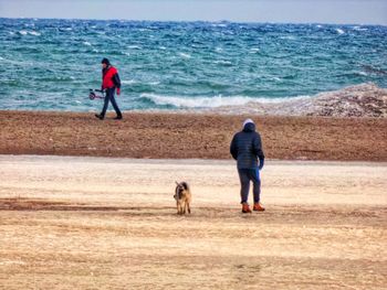 Rear view of dog walking on beach