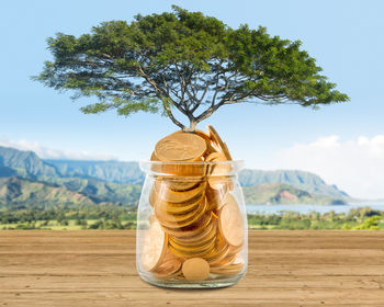 Close-up of chocolate coins in jar on table against tree