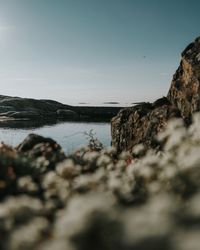 Surface level of rocks on beach against sky