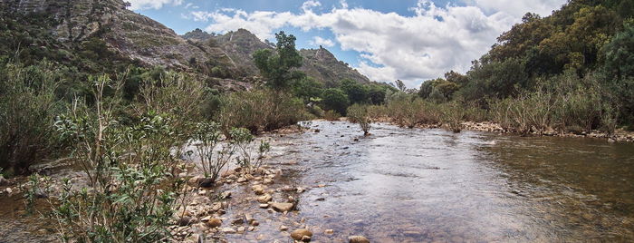 Scenic view of river amidst trees against sky