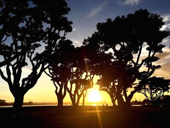 Silhouette tree against sky during sunset