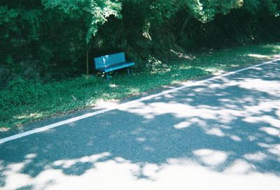 View of road along trees