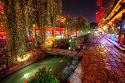 Illuminated trees by canal in city at night