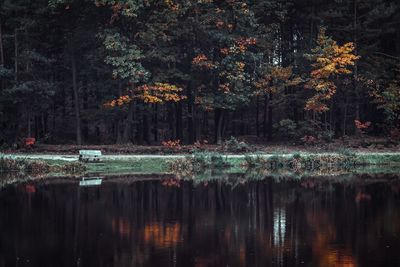 Scenic view of lake by trees during autumn