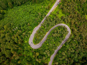 A winding road visible from the air, between green forests