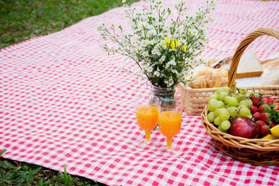 Food and juice on red picnic blanket over grass at park