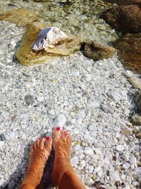 Low section of person standing on rock