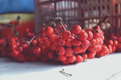 Strawberries on red berries