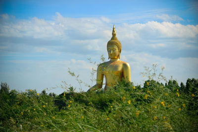 Large buddha statue with plants in foreground