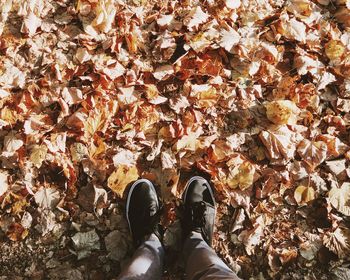 Low section of man standing on autumn leaves