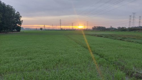 Scenic view of field against sky during sunset