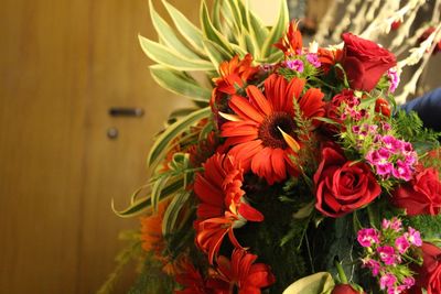 Close-up of red flowering plant in vase