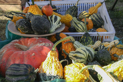 High angle view of fruits for sale at market stall