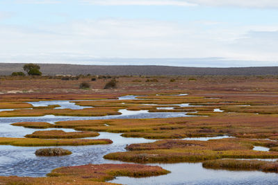 Landscape of the west coast of south africa