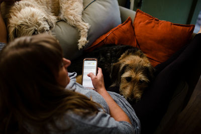 Rear view of woman with dog on mobile phone