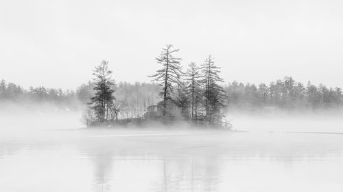 Trees by lake against sky