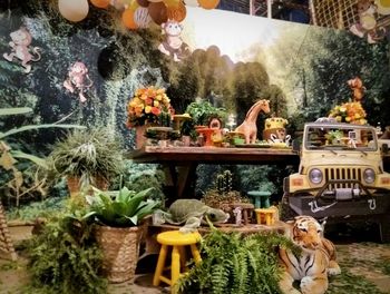 Panoramic shot of potted plants on table