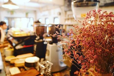 Close-up of flowers in store
