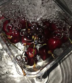 High angle view of berries in glass bowl