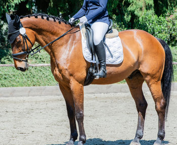 Man riding horse