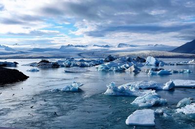 Scenic view of sea against sky