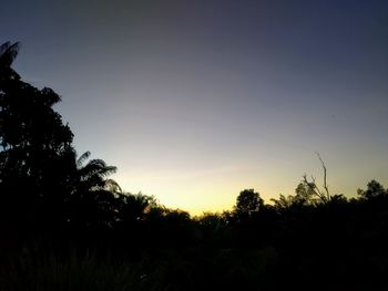 Silhouette trees against sky during sunset