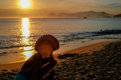 Cropped hand holding seashell at beach against sky during sunset