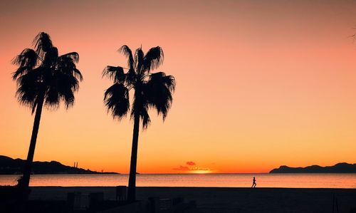 Silhouette palm trees on beach against romantic sky at sunset