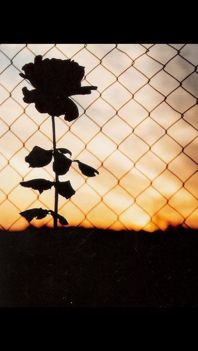 orange color, sunset, fence, yellow, pattern, sunlight, transfer print, no people, nature, auto post production filter, shadow, close-up, chainlink fence, sky, outdoors, silhouette, beauty in nature, metal, protection, high angle view