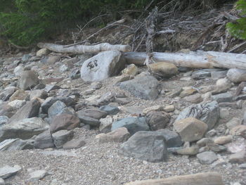 Close-up of rocks in water