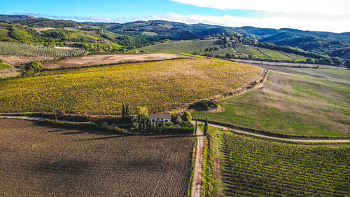 High angle view of agricultural field