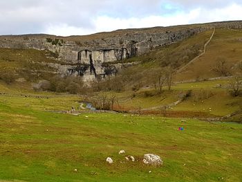 Scenic view of grassy field against sky