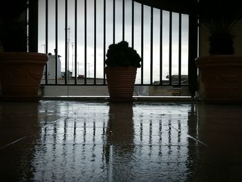 Rear view of silhouette people in the window