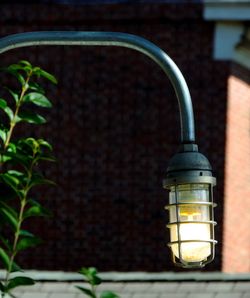 Close-up of illuminated light bulb