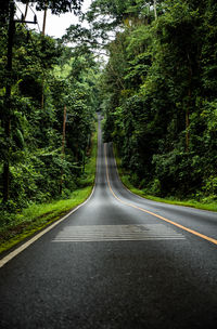 Empty road along trees