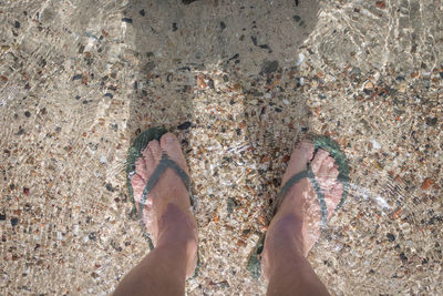 Low section of man standing on ground