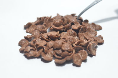 Close-up of chocolate cake against white background