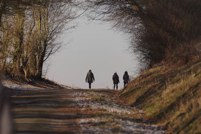 Rear view of people walking on road in forest