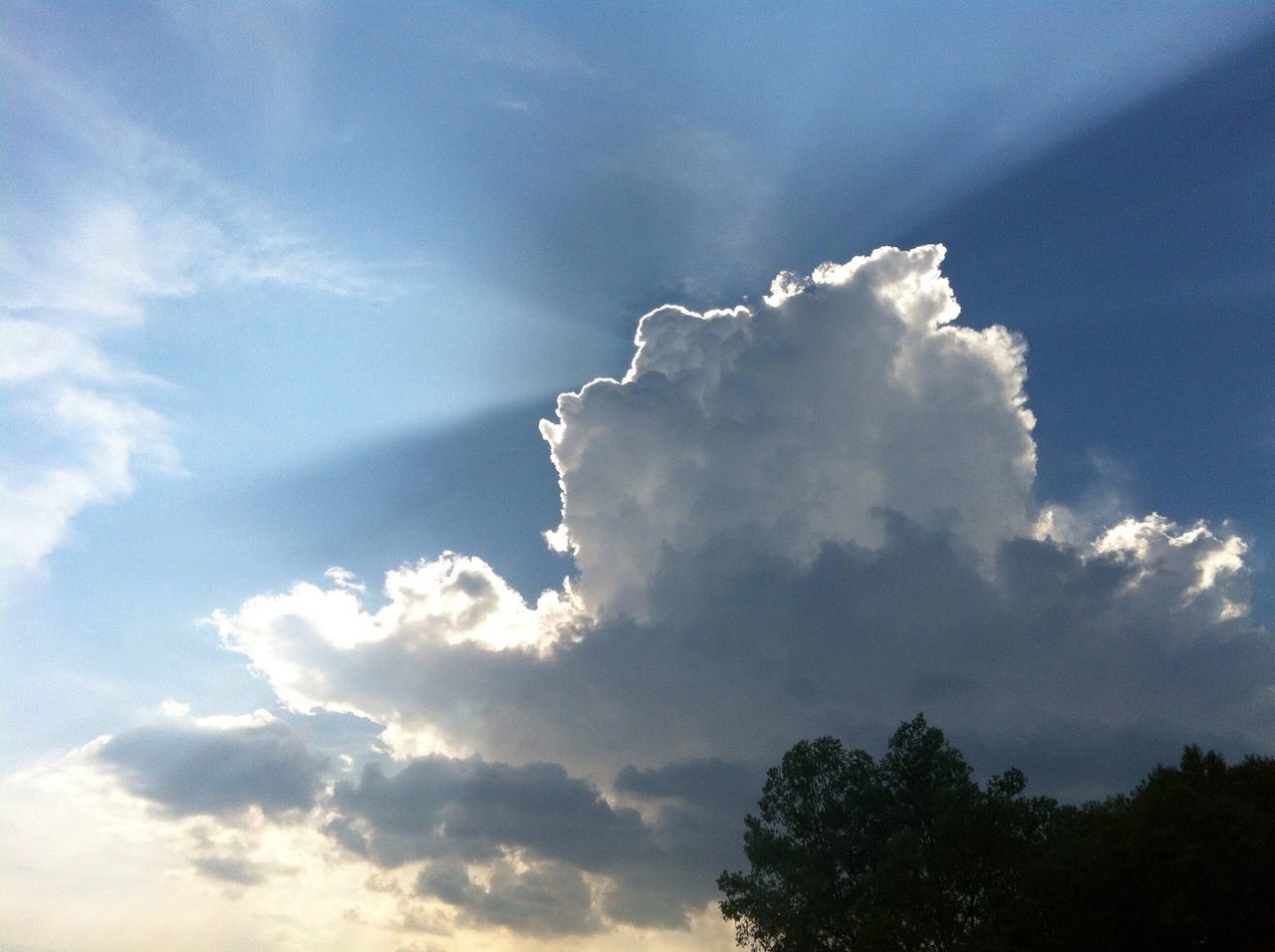 sky, low angle view, cloud - sky, beauty in nature, tranquility, nature, scenics, cloudy, tranquil scene, blue, cloud, cloudscape, tree, white color, idyllic, sky only, outdoors, day, no people, weather