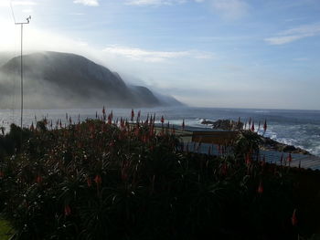 Scenic view of sea against cloudy sky