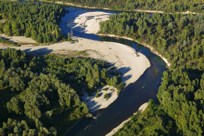 High angle view of land and trees