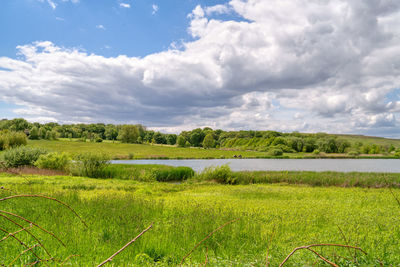 Scenic view of field against sky