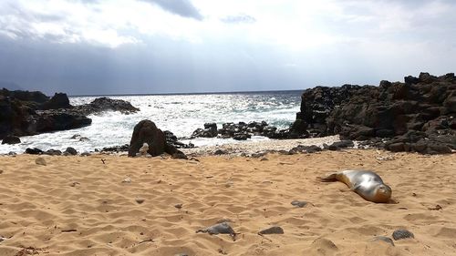 Scenic view of sea against sky