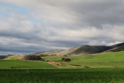 Scenic view of field against sky