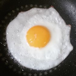 Close-up of food in bowl