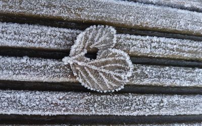 High angle view of frozen rope on snow