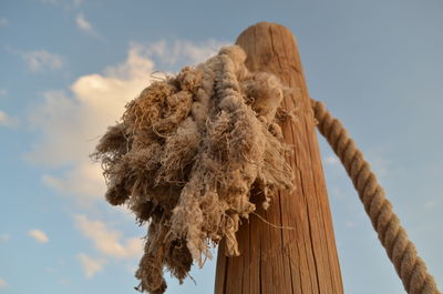 Low angle view of rope against sky