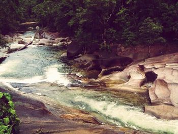 Scenic view of waterfall in forest